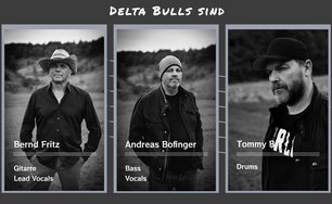 Delta Bulls