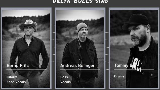 Delta Bulls